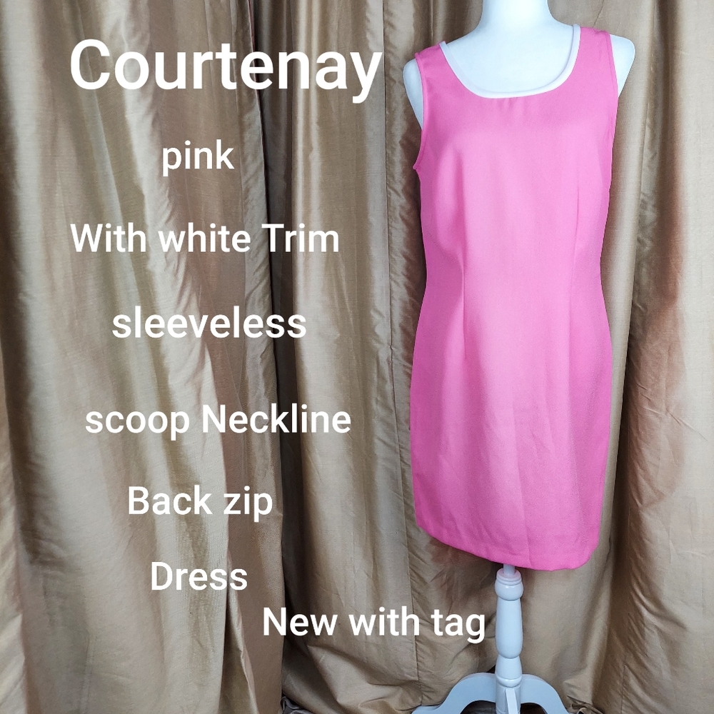 Courtenay pink back zip dress size 12